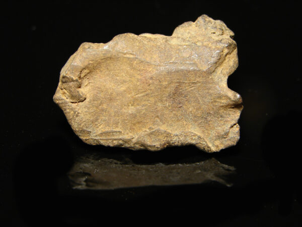 Meteorit Gebel Kamil 18,6 g - Image 2