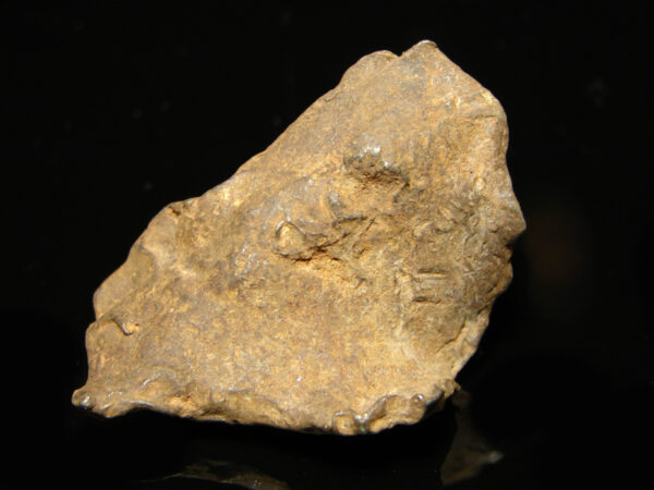 Meteorit Gebel Kamil 48,7 g - Image 3